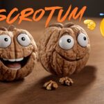 funny names for scrotum